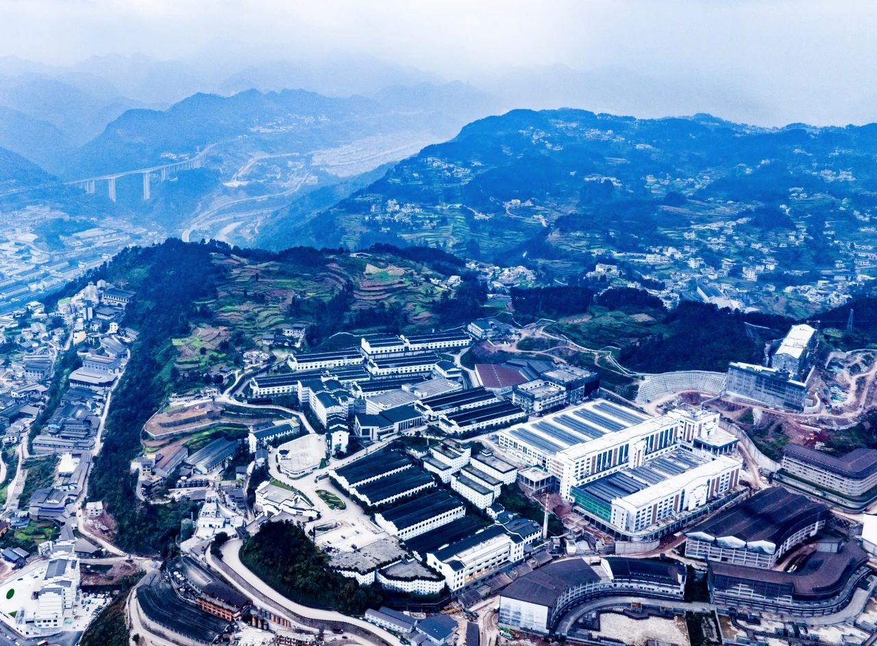 1706592632119103.jpg 1706592632119103.jpg