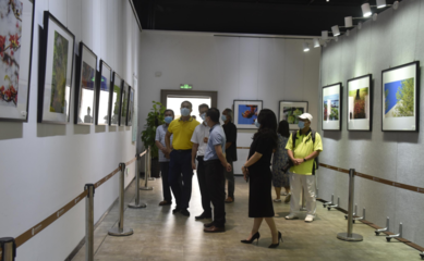 光影定格！春暖花開 大美沙田攝影作品展開幕